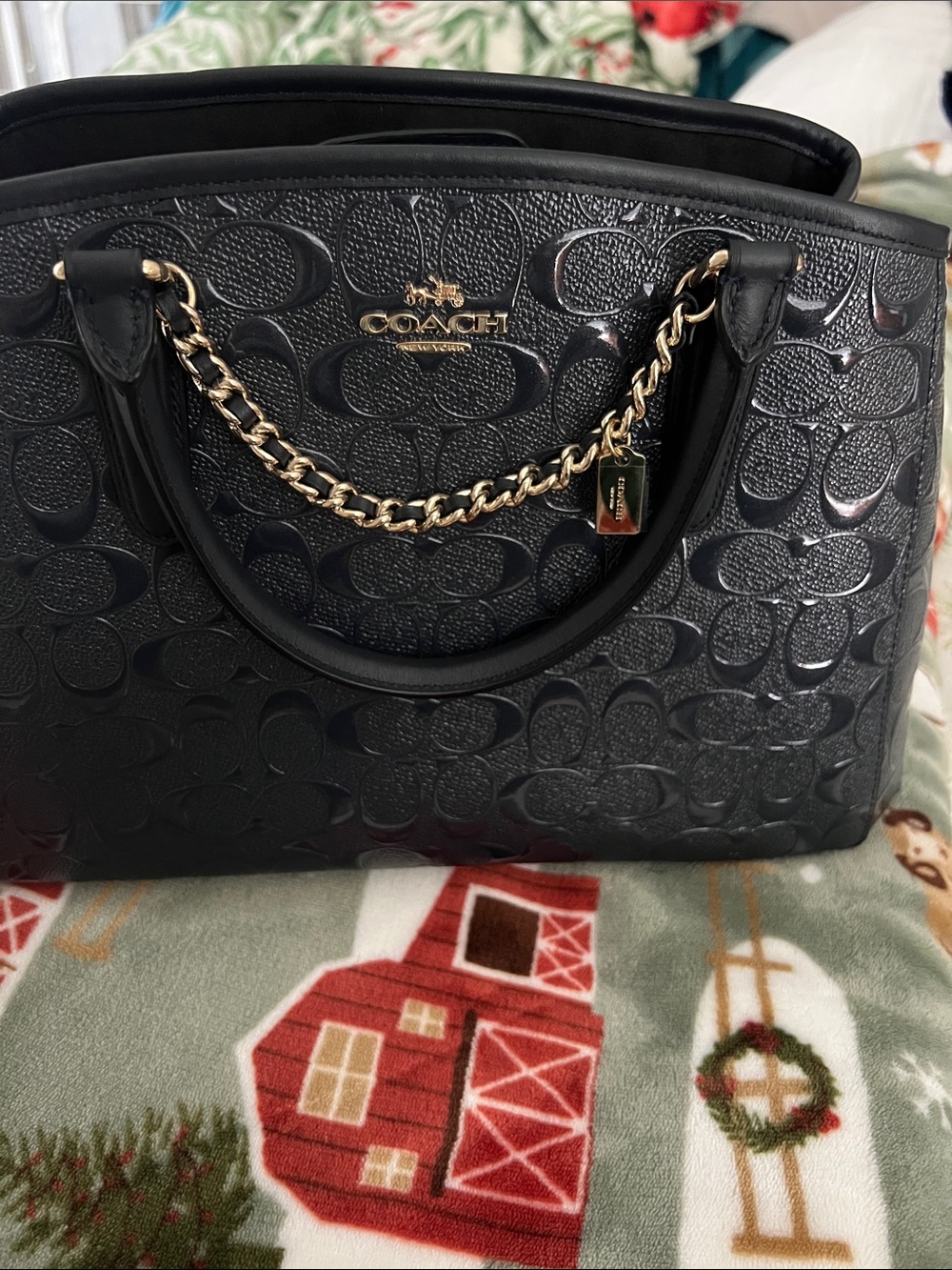 Brand New Coach Margot Carryall